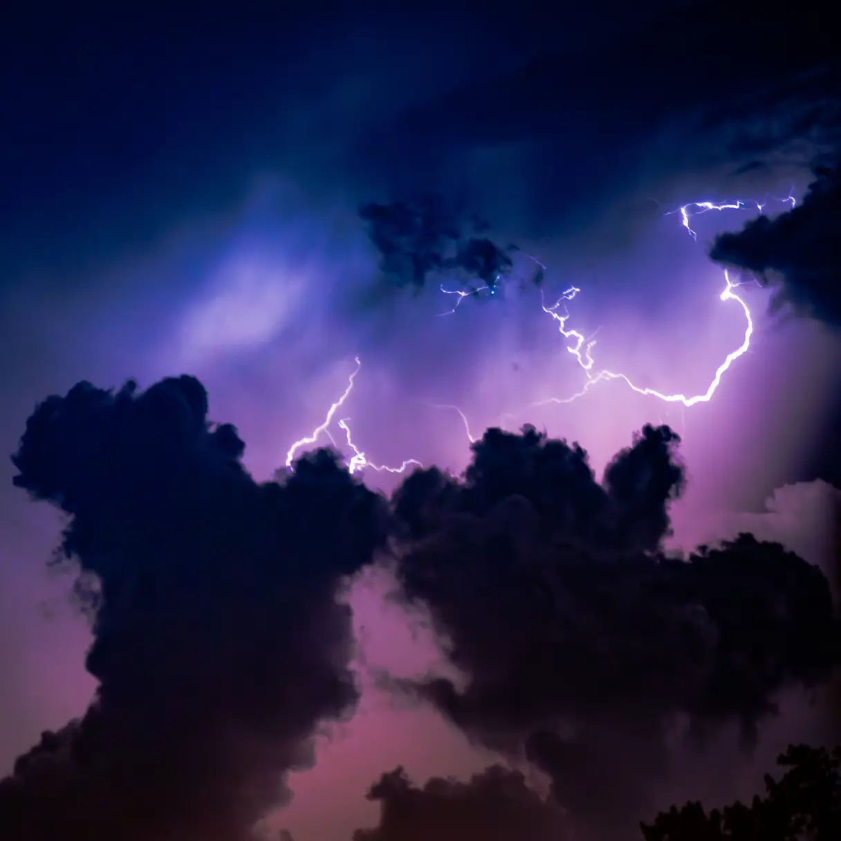 Forked lightning branching through purple storm clouds above a dark treeline at night.